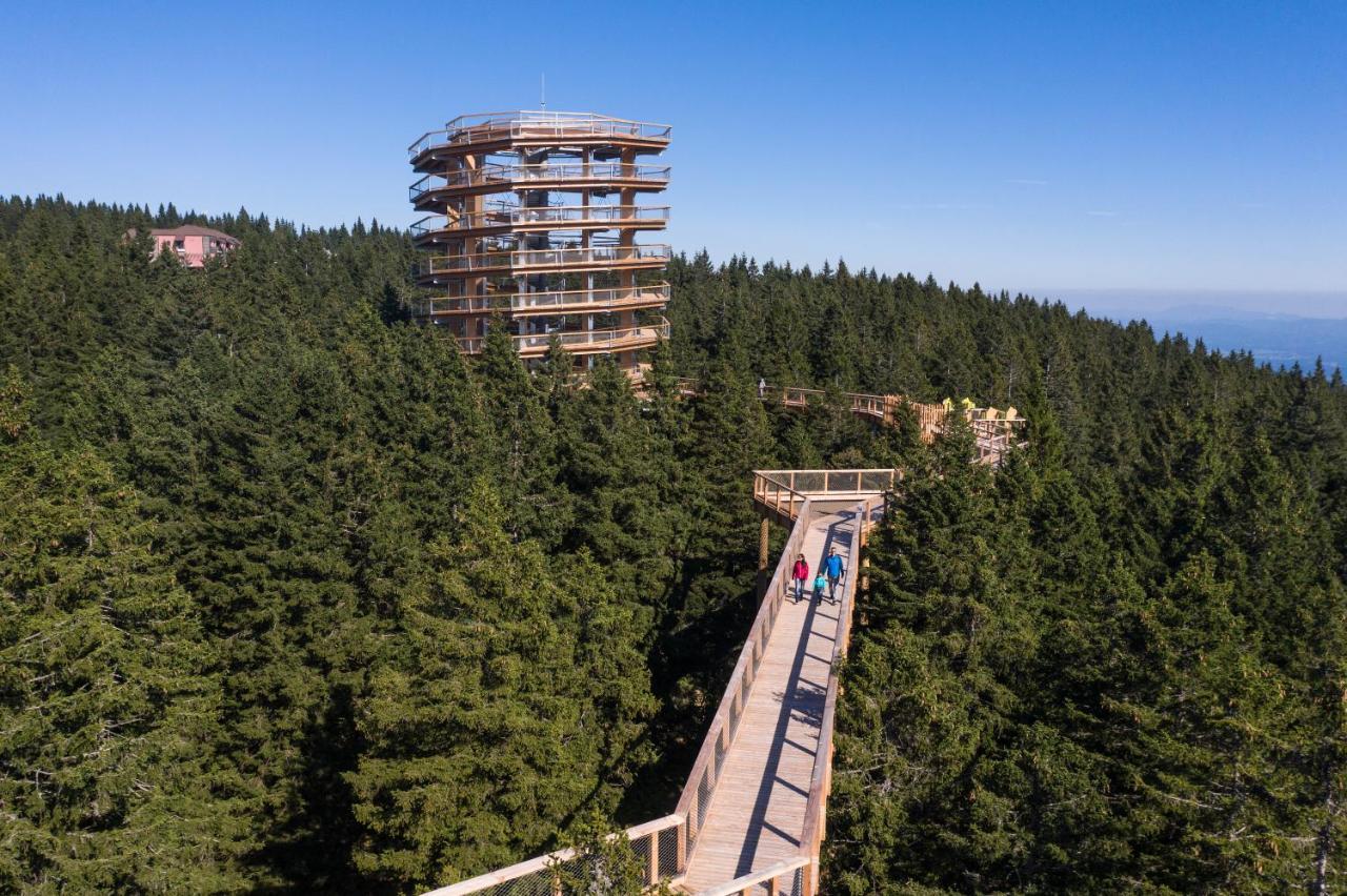Hotel Planja Zreče المظهر الخارجي الصورة